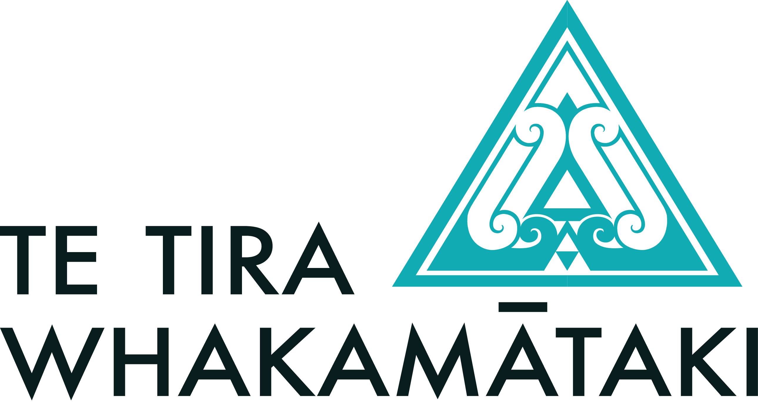 Te Tira Whakāmataki